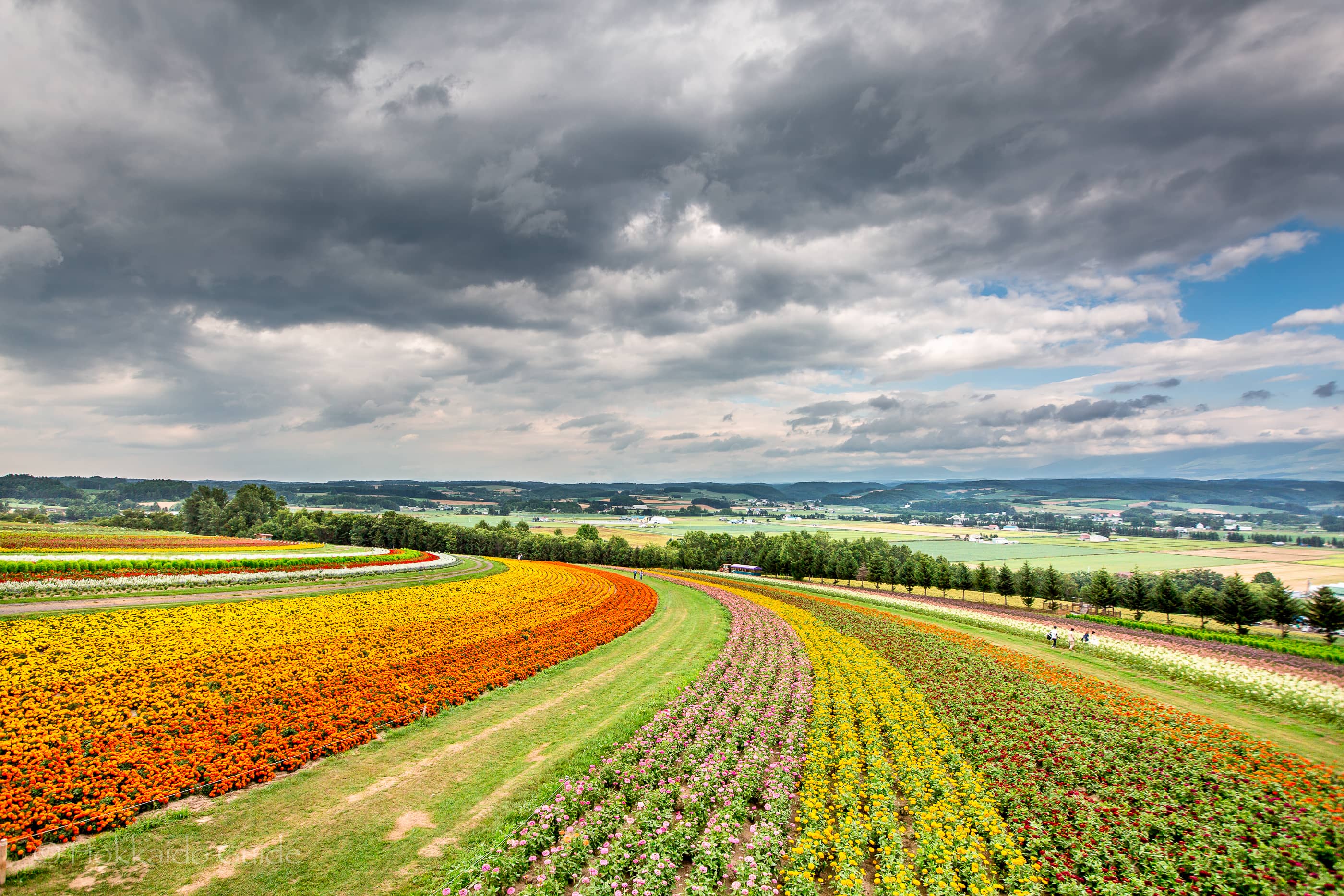 Flower Land Kamifurano