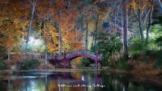 Serene Water Reflections