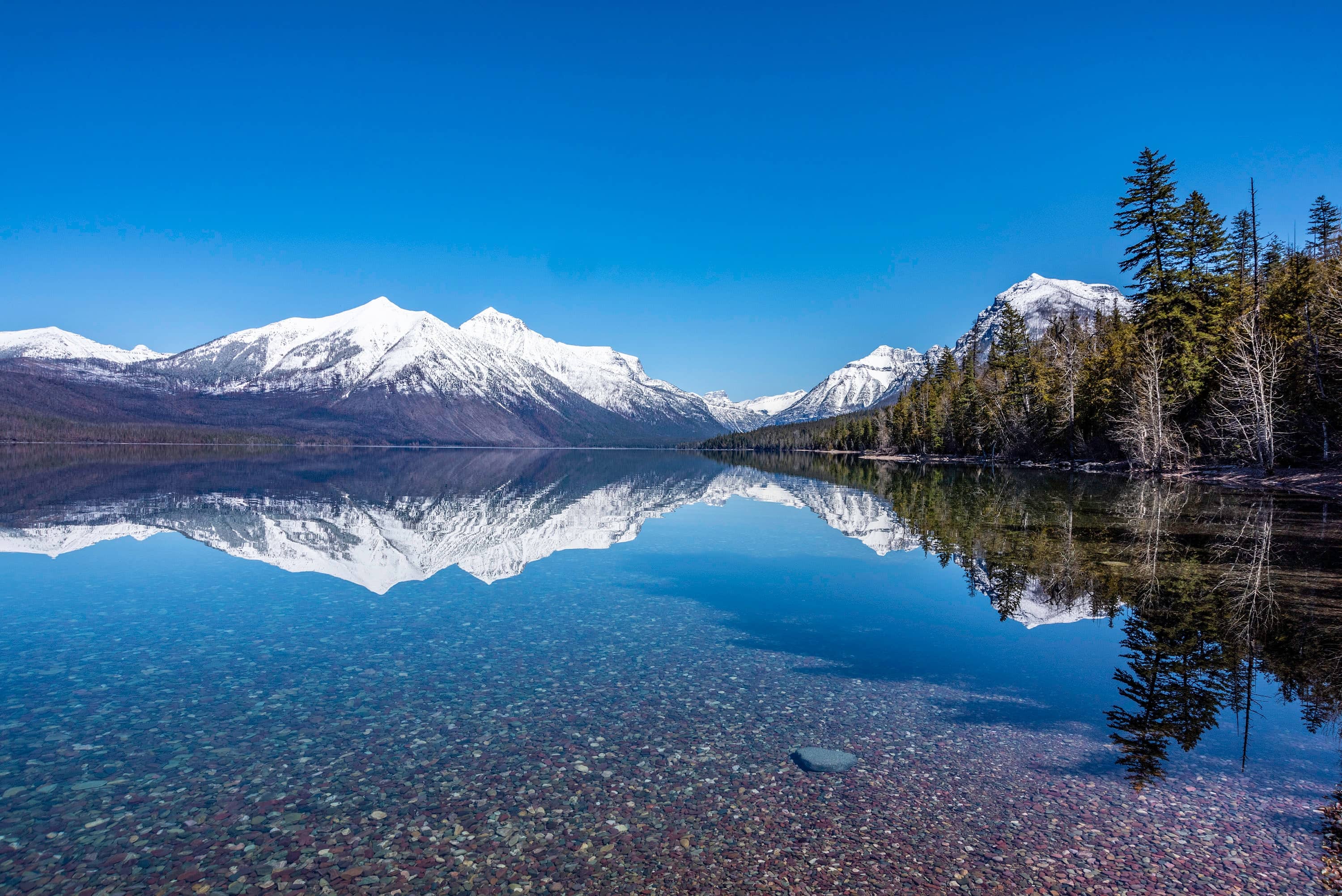 Mirror-Like Reflections