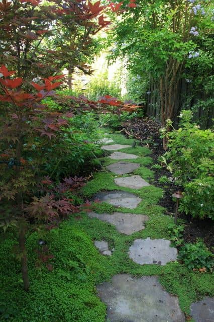 Shaded Walking Paths