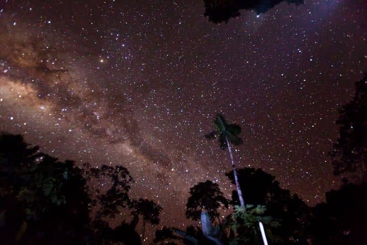 Starry Night Skies