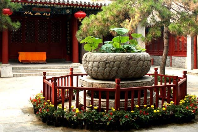 Lotus Bowl