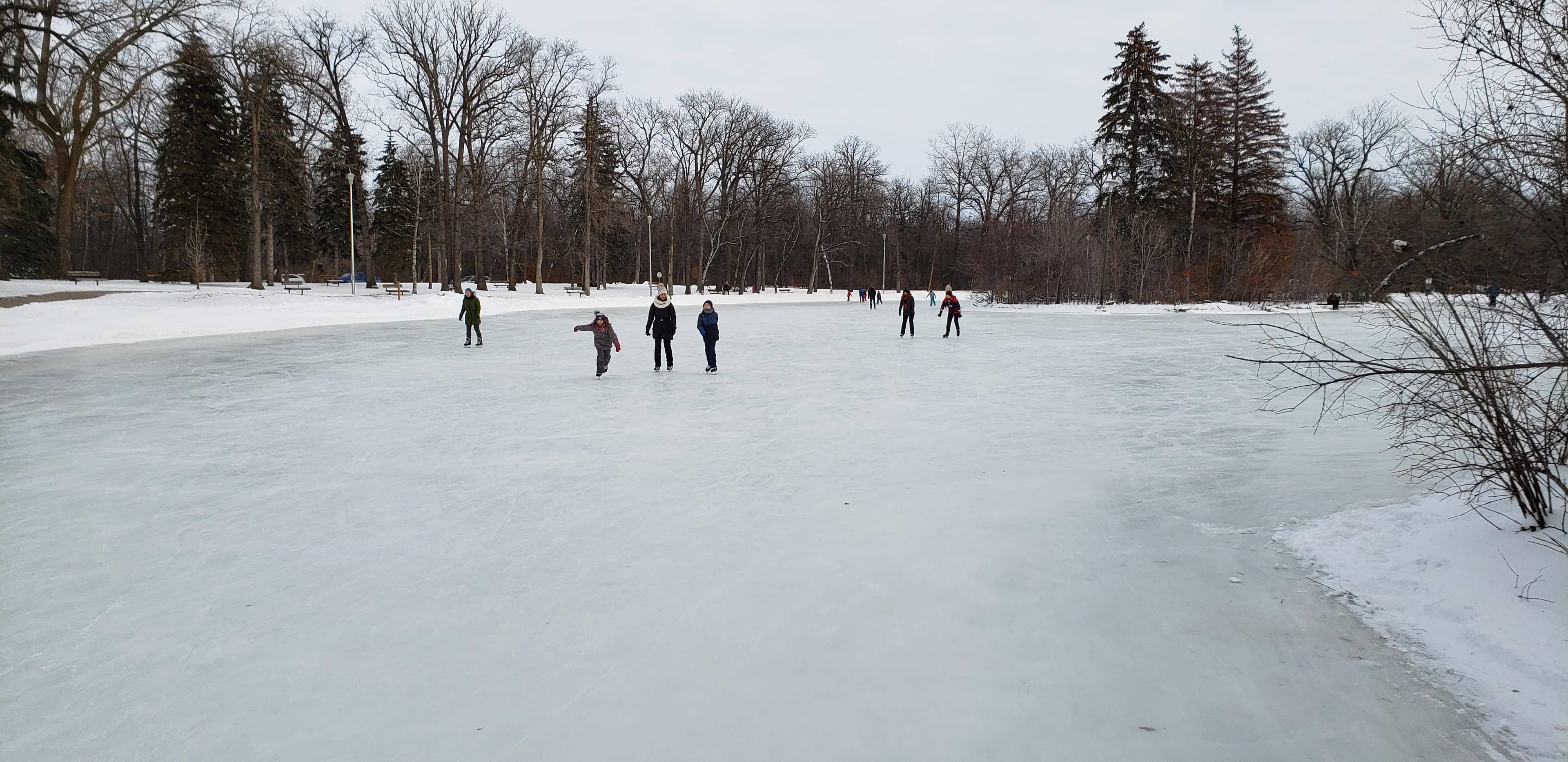 Winter Skating Trail