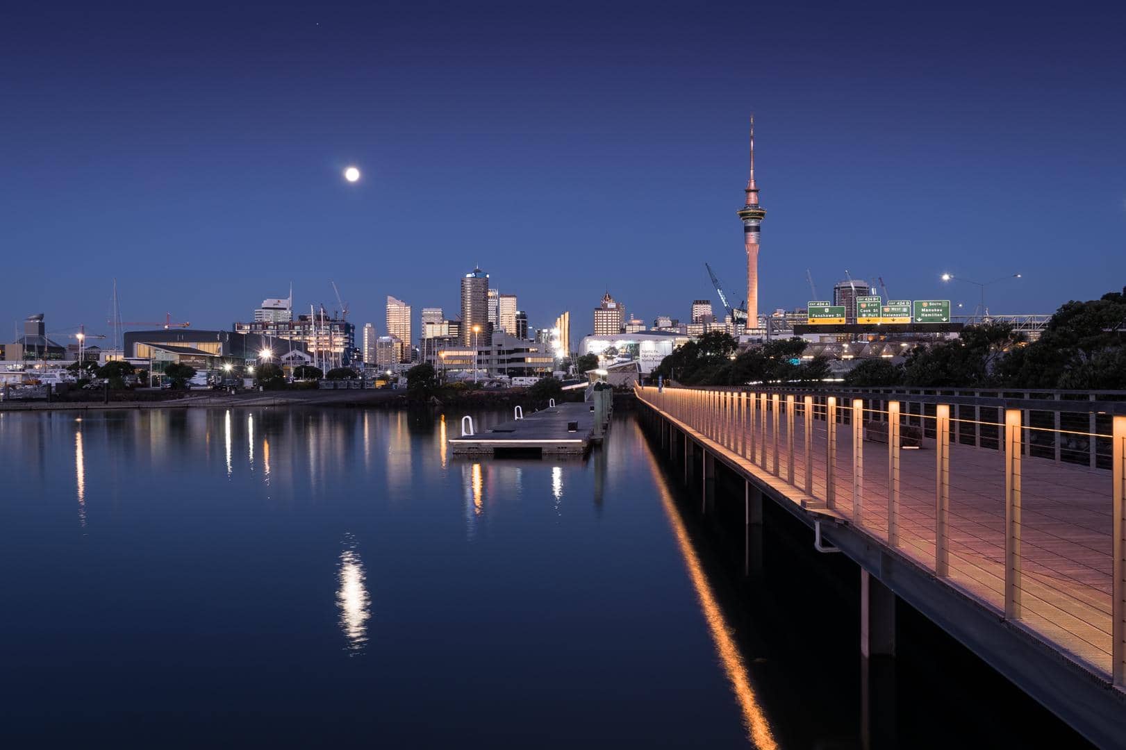 Auckland Skyline Views