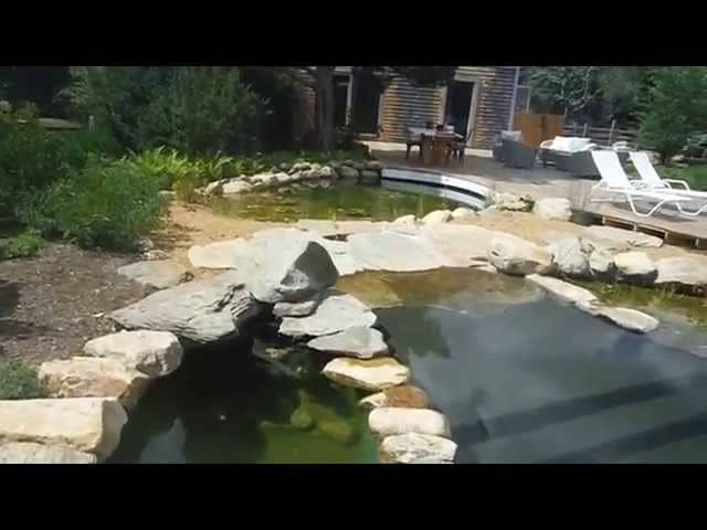 Natural Plunge Pool