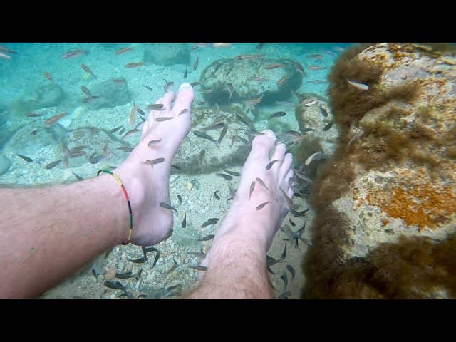 Fishy Foot Nibblers