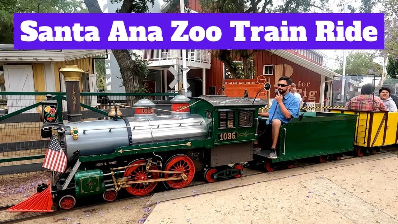 Mini-Train Ride