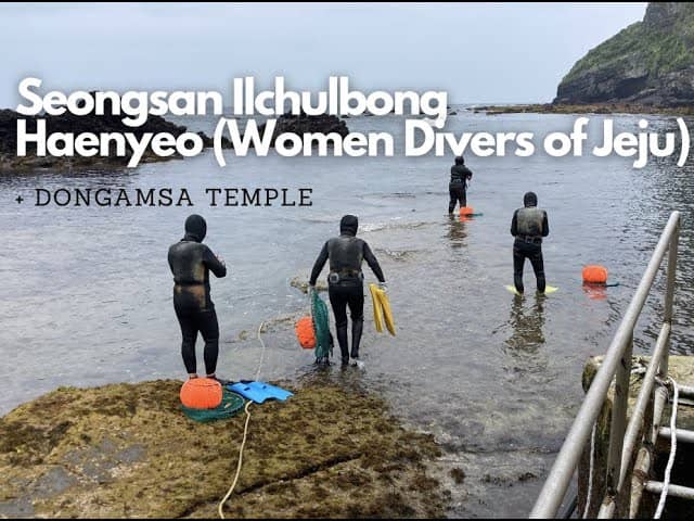 Haenyeo Women Divers