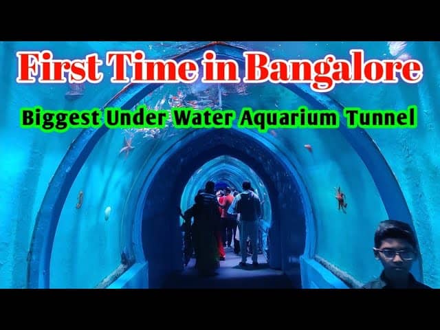 Small Tunnel Aquarium