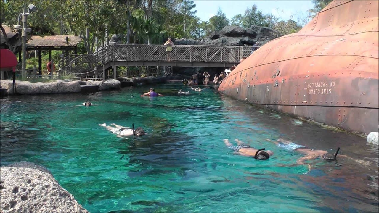 Shark Reef
