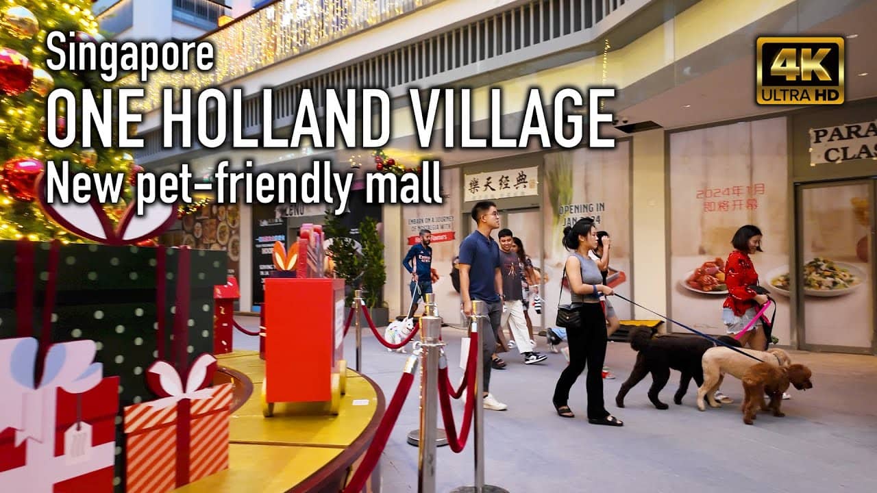 Pet-Friendly Amenities