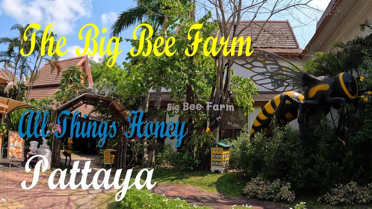 Educational Bee Farm Tour