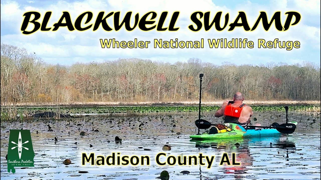 Blackwell Swamp Exploration