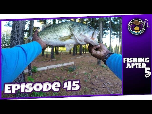 Fishing Opportunities