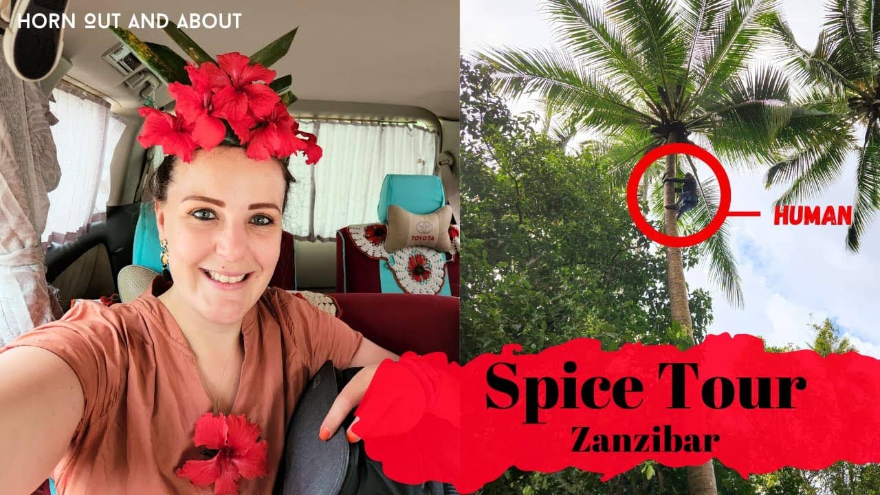 Coconut Tree Climbing Demonstration