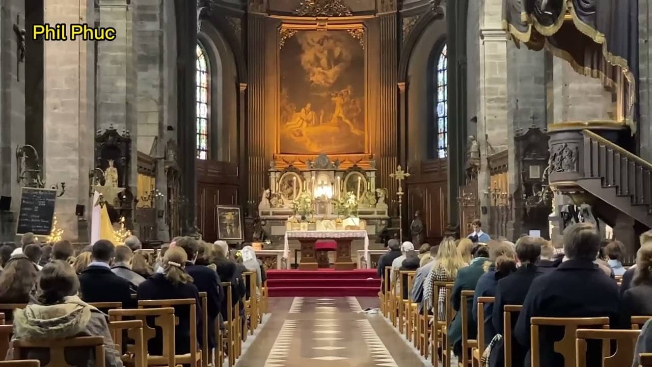 Latin Mass Experience