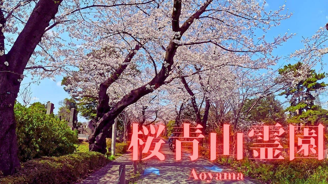 Peaceful Stroll