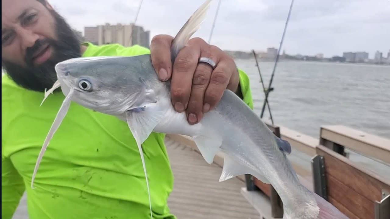 Fishing Haven