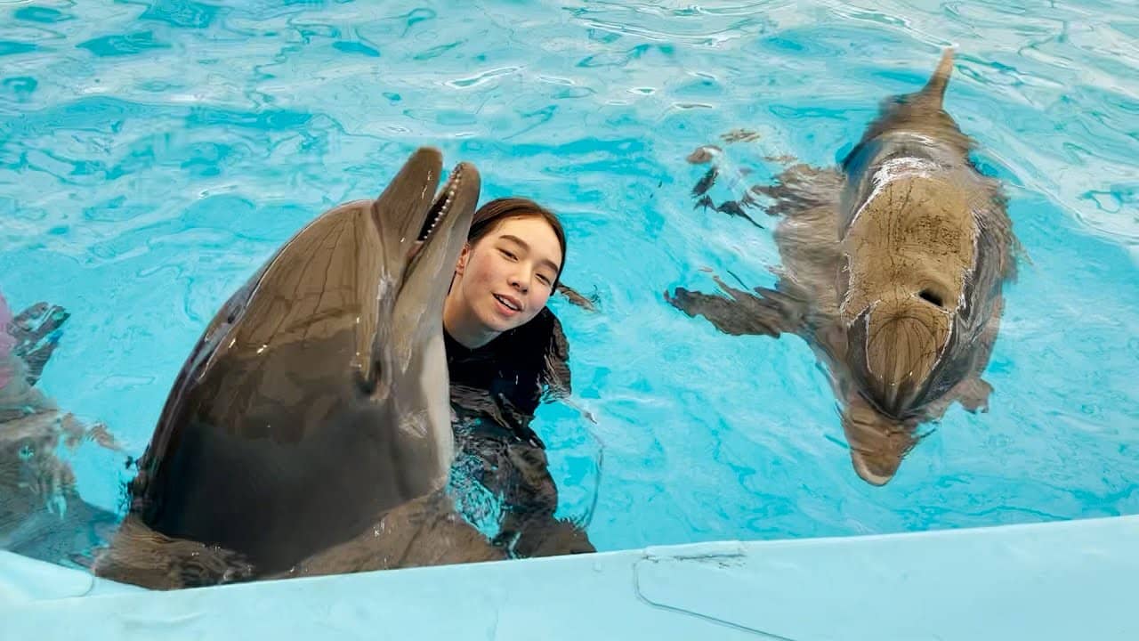Up-Close Dolphin Encounter