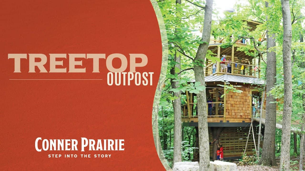 Treetop Discovery
