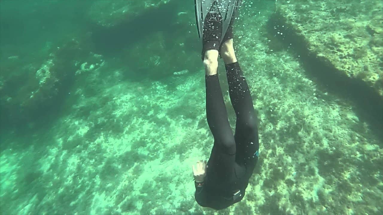 Snorkeling Opportunities