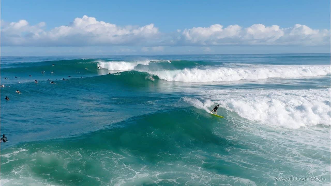 Surfing Spectacle