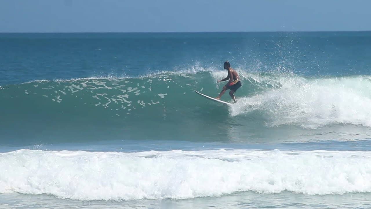 Surf's Up!