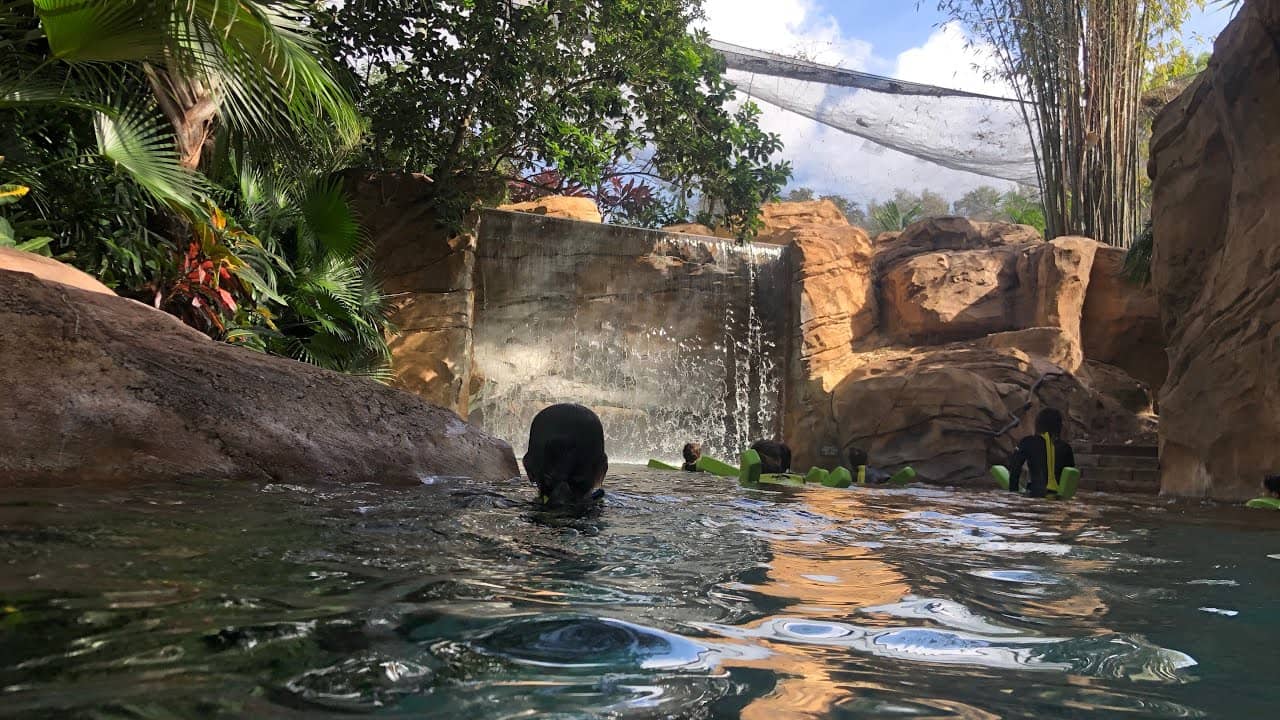 Lazy River