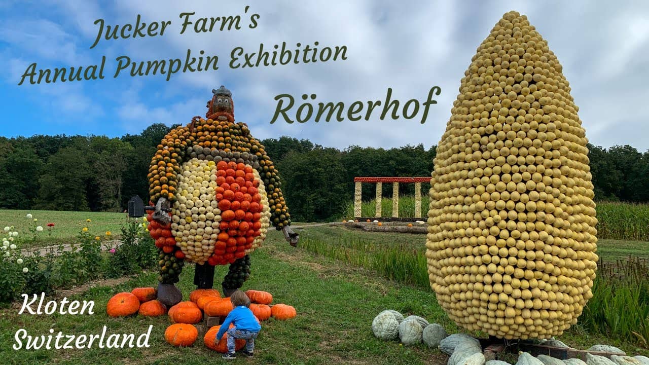 Seasonal Pumpkin Displays