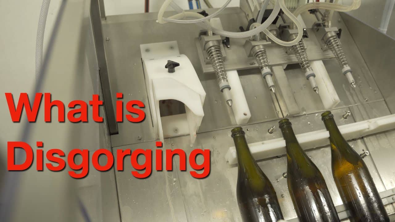 The Disgorgement Process