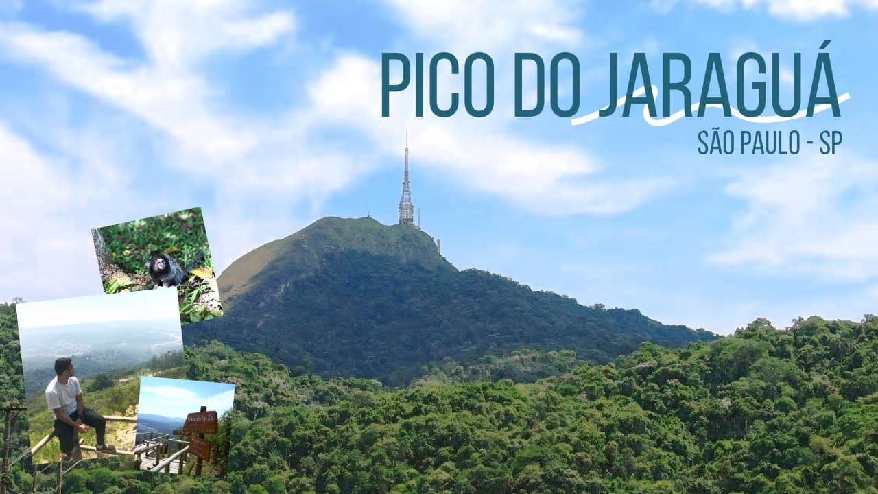 Panoramic City Views