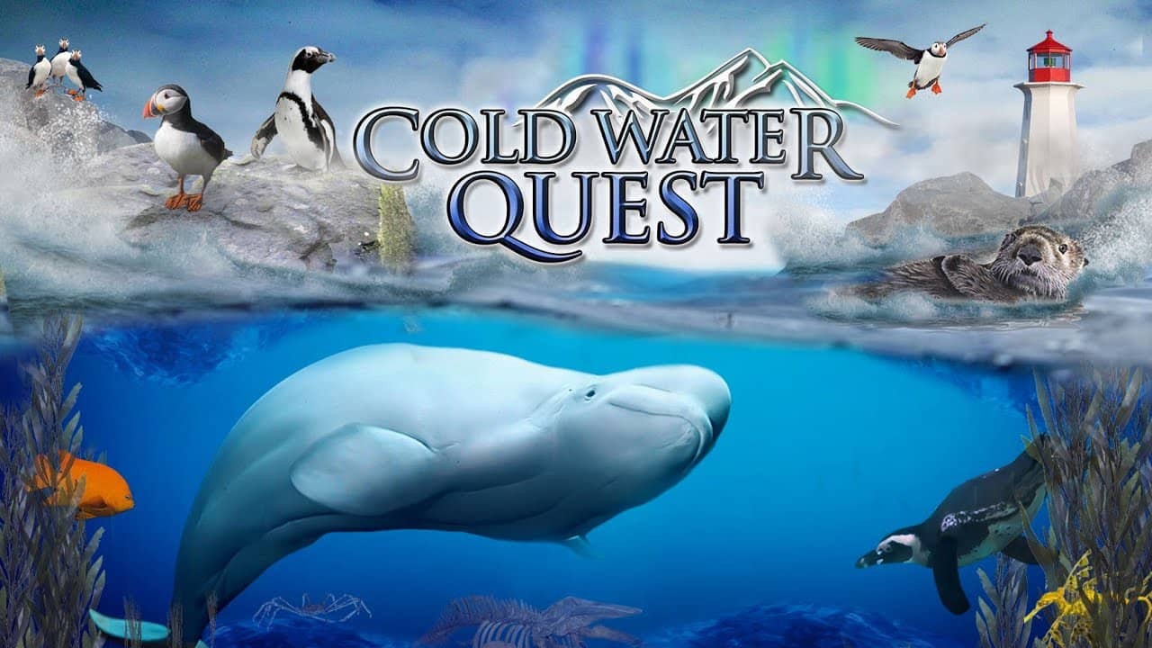 Cold Water Quest