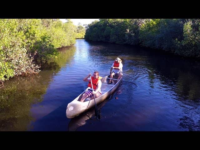 Estero River Paddling