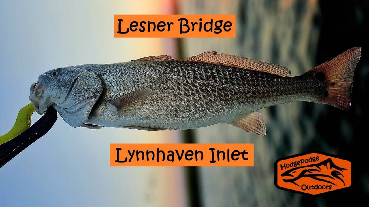 Shore Fishing Opportunities