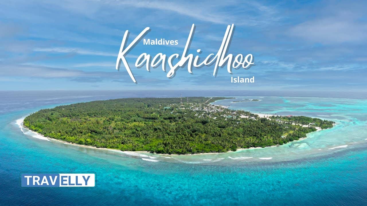Palm-Lined Beaches