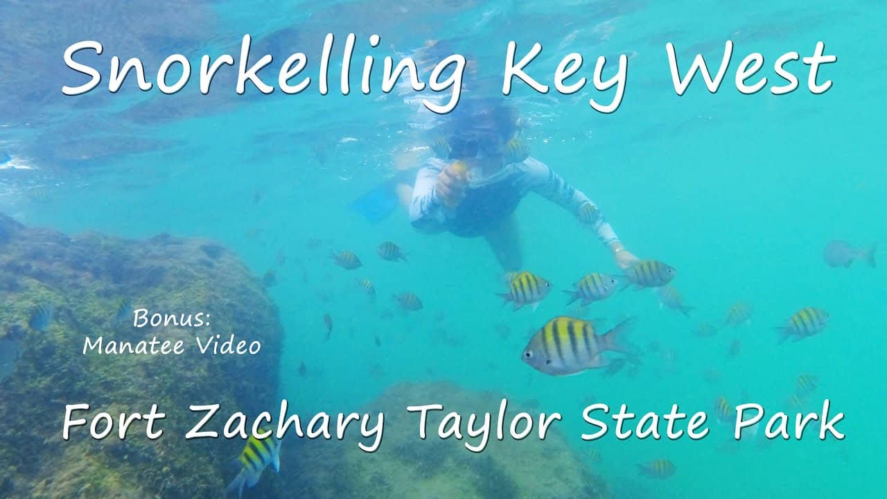 Snorkeling Paradise