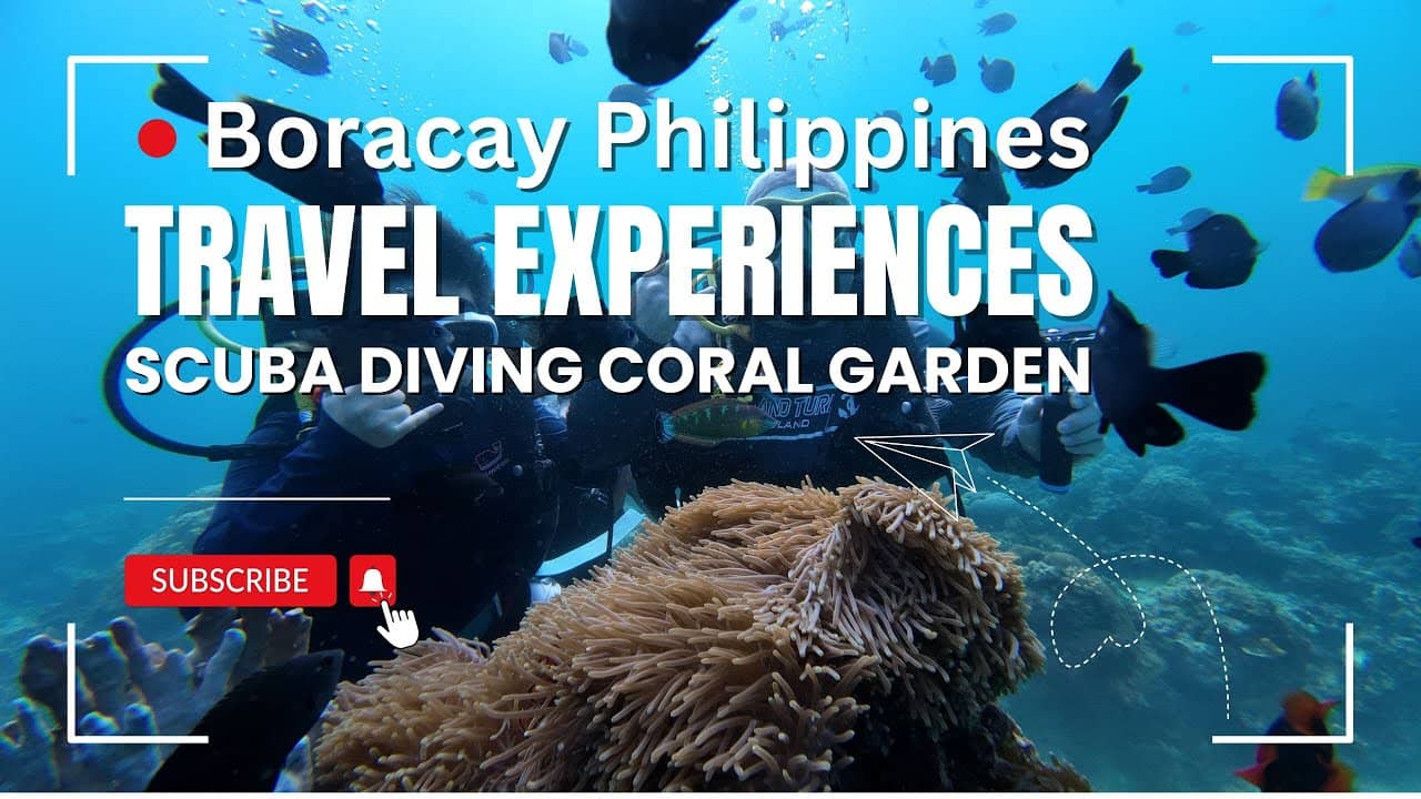 Beginner-Friendly Diving