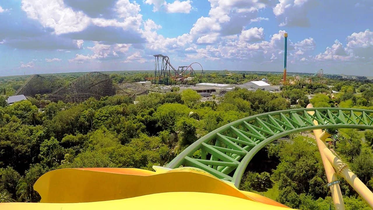Cheetah Hunt