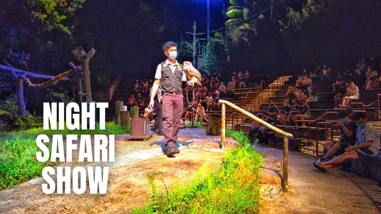 Creatures of the Night Show
