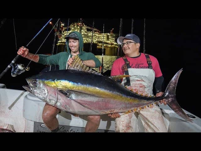 Tuna & Mackerel Fishing