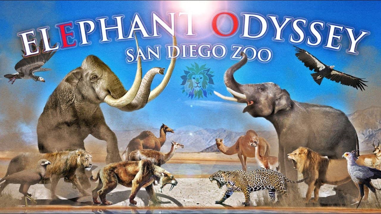 Elephant Odyssey