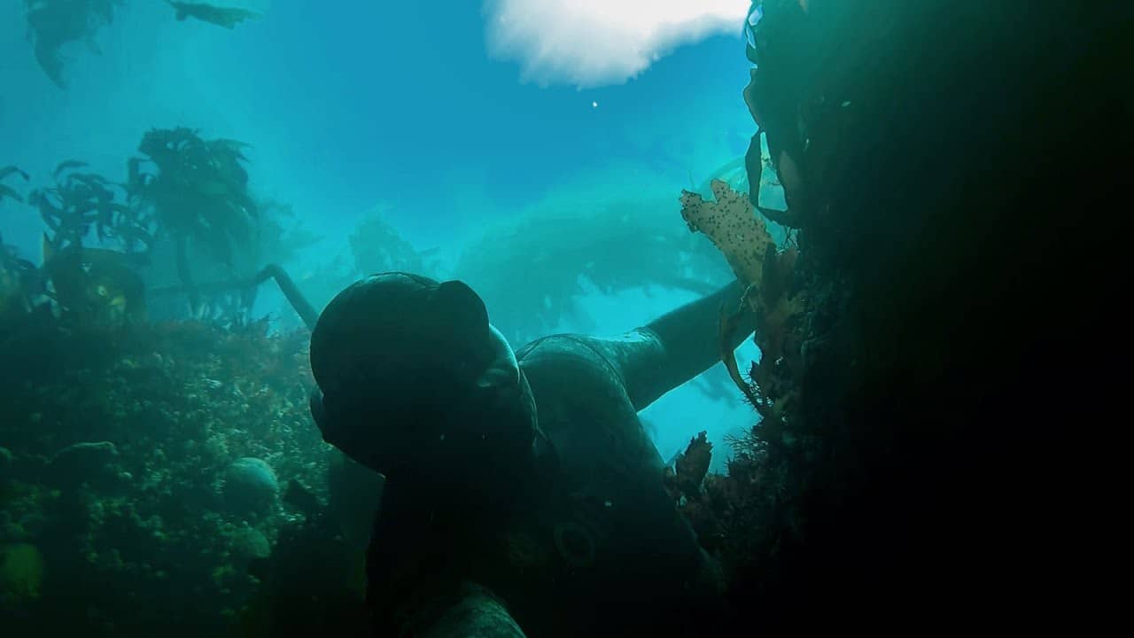Snorkeling Hotspot