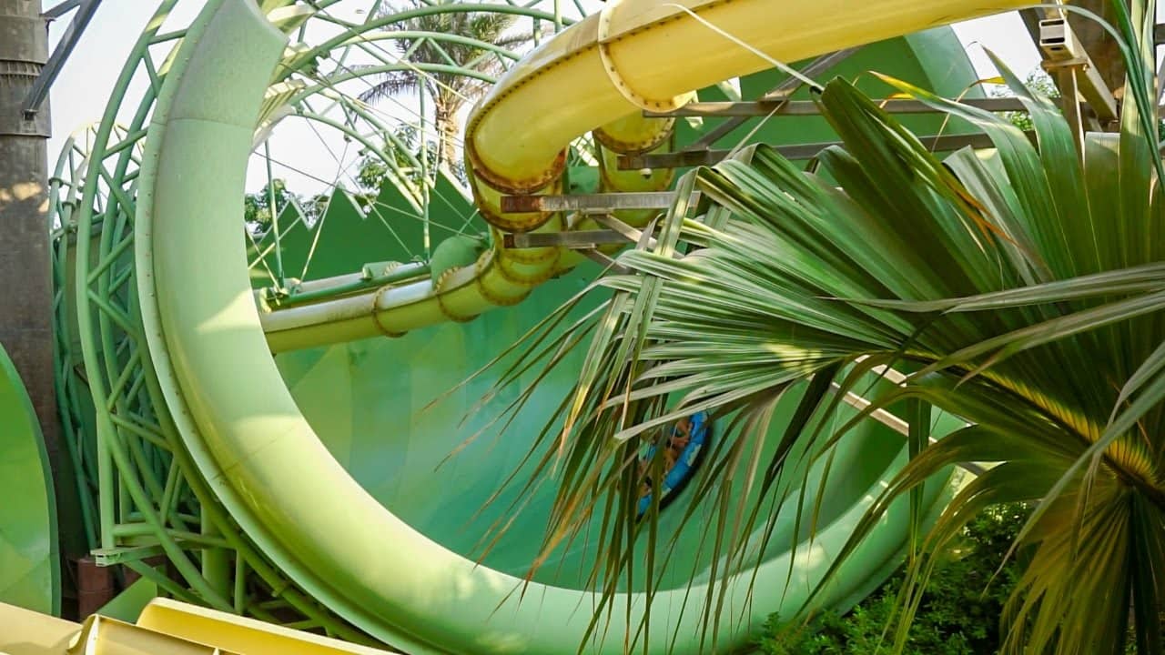 Aquaconda