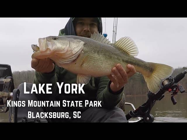 Lake and Fishing
