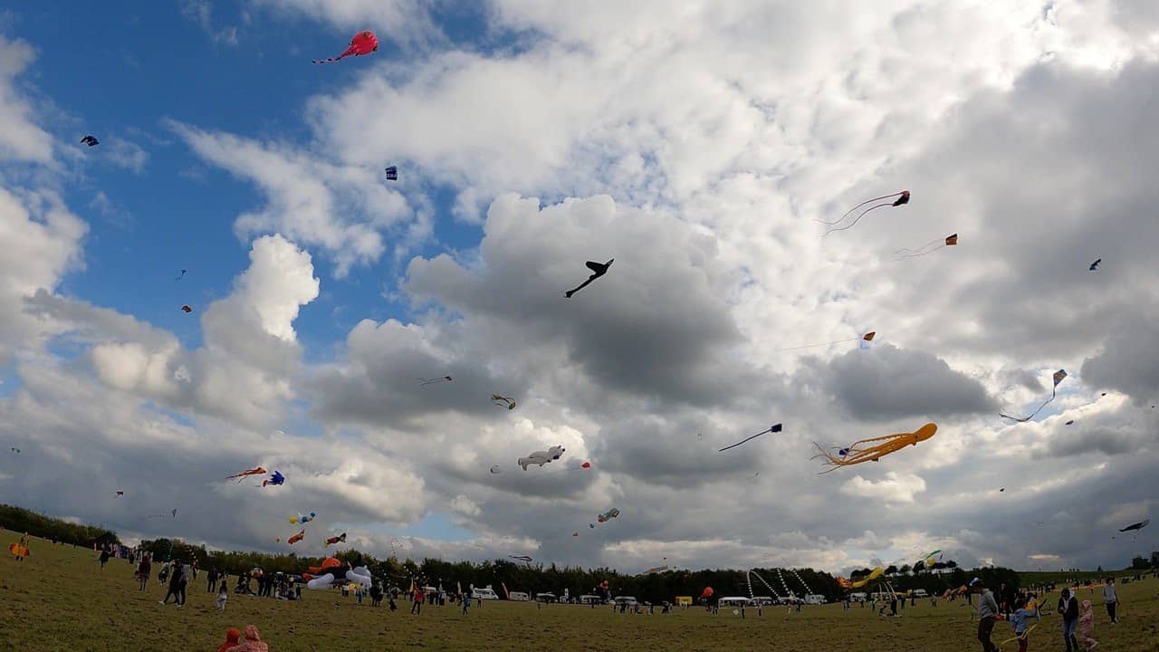 Kite Flying Haven