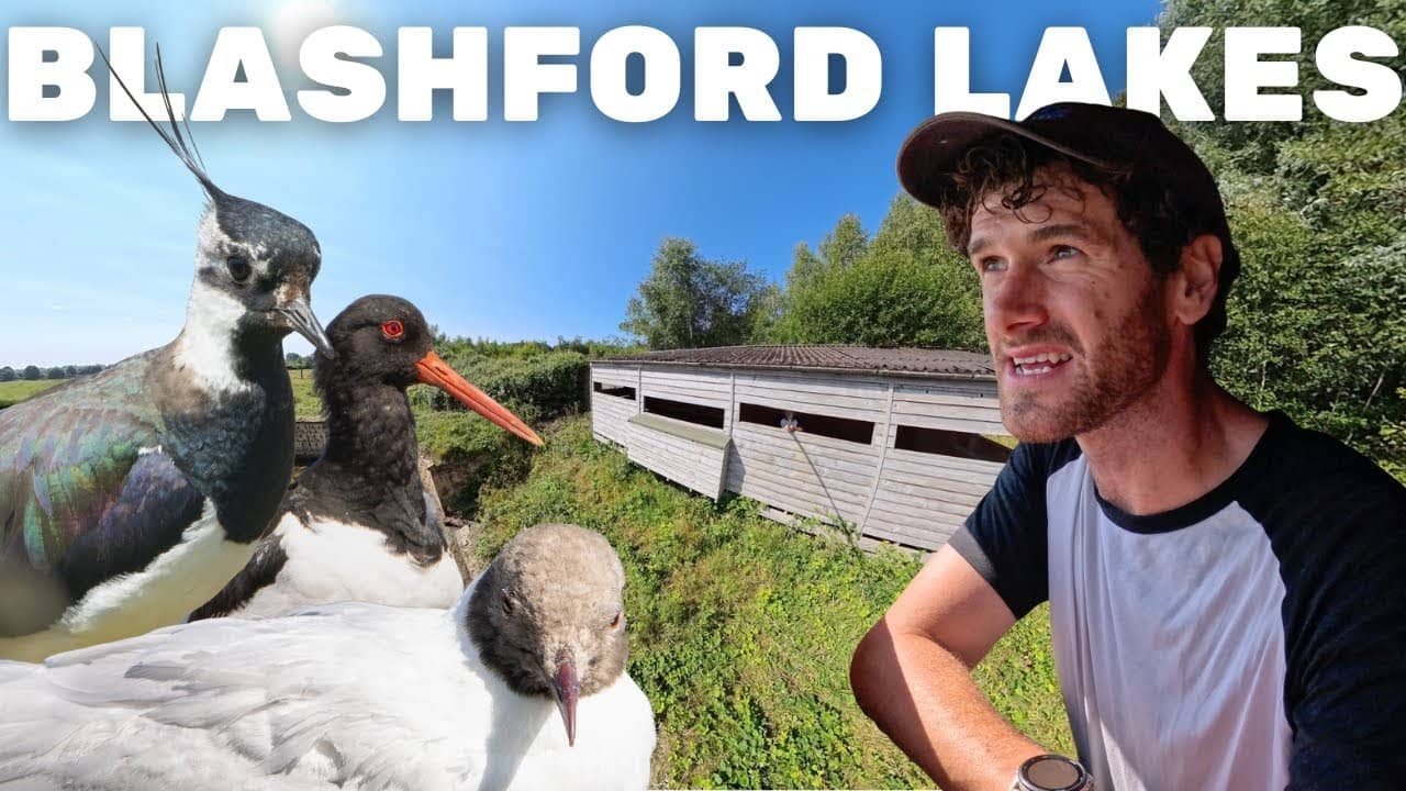 Diverse Birdlife