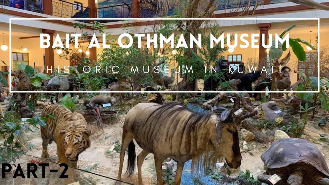Engaging Animal Exhibits