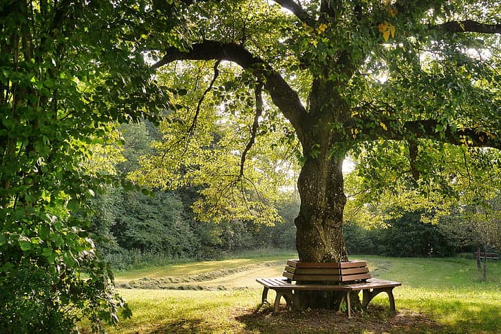 Shady Seating Areas