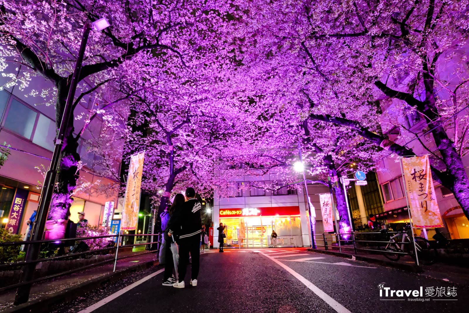 LED Sakura Tree Ambiance