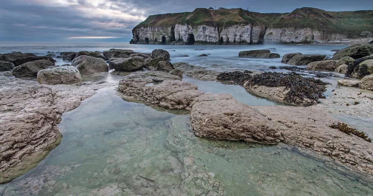 Rock Pooling Adventures